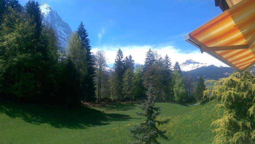 Mom - Alpine Boutique Apartments, Grindelwald Gletscher, Eiger View Terrace Studio Pokoj fotografie