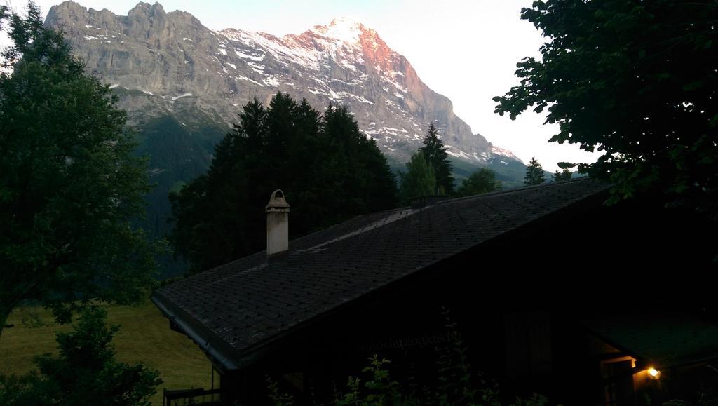 Mom - Alpine Boutique Apartments, Grindelwald Gletscher, Eiger View Terrace Studio Pokoj fotografie